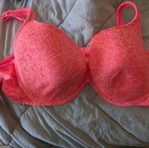 Cacique Lace T-Shirt Bra in Bright Coral